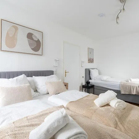 Steyr Comfort Lodge - Apartment Mit Kamin & Parkplatz *