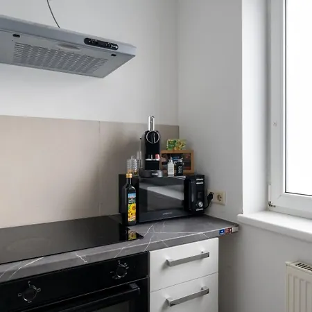 Apartment Steyr Comfort Lodge - Apartment Mit Kamin & Parkplatz