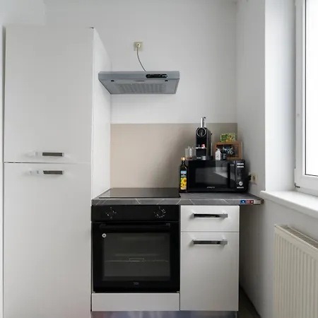Steyr Comfort Lodge - Apartment Mit Kamin & Parkplatz * Steyr